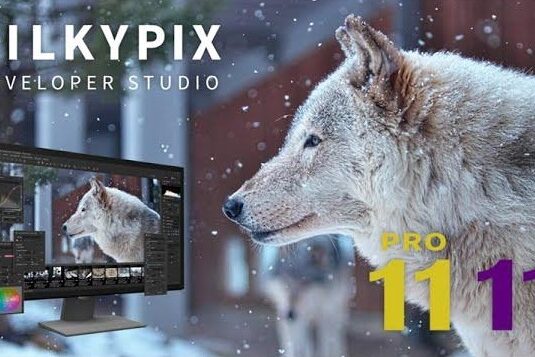 Silkypix